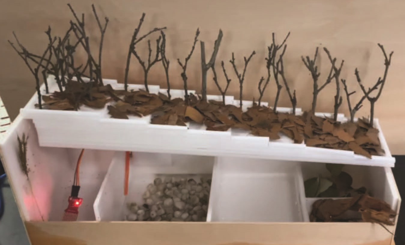 張永義 競賽